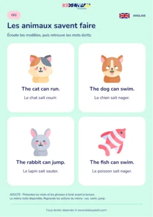 Lire can avec les animaux et leurs actions au CE2 — leçon illustrée