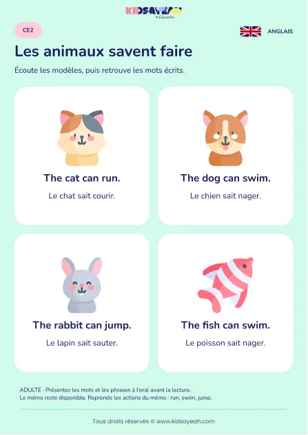 Lire can avec les animaux et leurs actions au CE2 — leçon illustrée