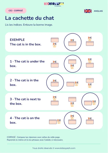 Lire la position d’un chat dans une boîte au CE2 — corrigé
