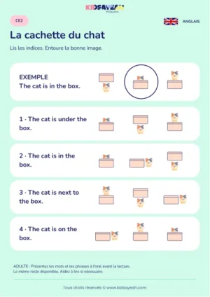 Lire la position d’un chat dans une boîte au CE2 — fiche enfant