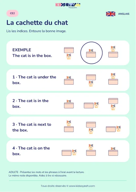 Lire la position d’un chat dans une boîte au CE2 — fiche enfant