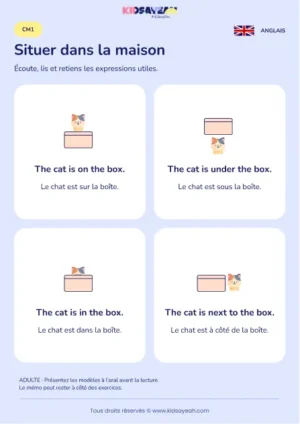 Mémoriser les prépositions de lieu en anglais au CM1 — leçon illustrée