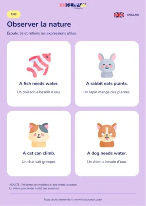 Parler des besoins et actions des animaux en anglais au CM2 — leçon illustrée