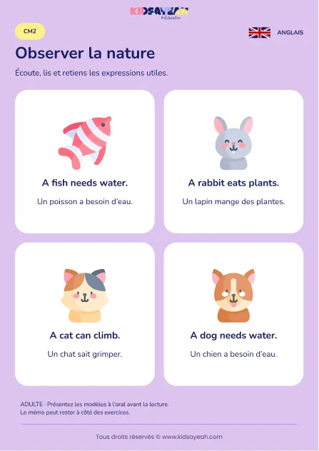 Parler des besoins et actions des animaux en anglais au CM2 — leçon illustrée