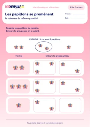 Les papillons se promènent – retrouver la même quantité en PS