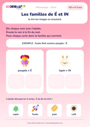 Trier les mots finissant par É ou IN en MS — aperçu de la fiche à imprimer