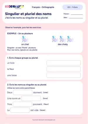 Écrire les noms au singulier et au pluriel au CE1 — exercices à imprimer