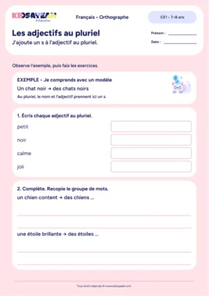 Mettre les adjectifs au pluriel avec s au CE1 — exercices à imprimer
